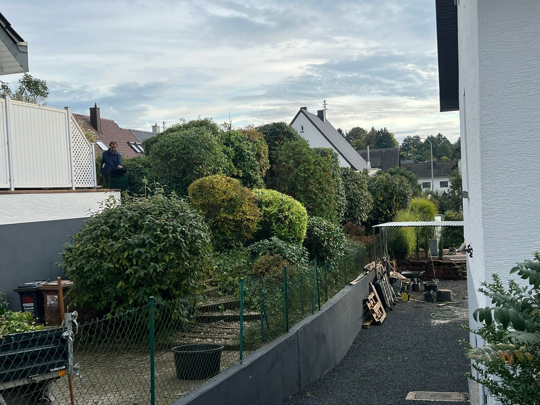 Gepflegter Garten mit Formschnitt und Wohnhaus